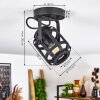 Teheran Plafondlamp Zwart, 1-licht