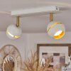 Tome Plafondlamp LED Messing, Wit, 2-lichts