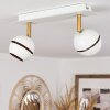 Tome Plafondlamp LED Messing, Wit, 2-lichts