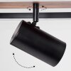 Sequeira Plafondlamp LED Hout licht, houtlook, Zwart, 4-lichts