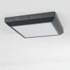 Alkmaar Buitenshuis plafond verlichting LED Antraciet, 1-licht