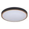 Globo SAMMI Plafondlamp LED Messing, Zwart, Wit, 1-licht