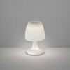 FHL easy Barletta Tafellamp voor buiten LED Wit, 1-licht, Kleurwisselaar