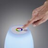 FHL easy Barletta Tafellamp voor buiten LED Wit, 1-licht, Kleurwisselaar