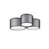 Cerdedo Plafondlamp Wit, 3-lichts
