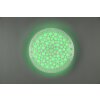 Reality Chizu Plafondlamp LED Wit, 1-licht, Afstandsbediening, Kleurwisselaar