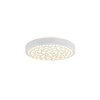 Reality Chizu Plafondlamp LED Wit, 1-licht, Afstandsbediening, Kleurwisselaar