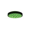 Reality Chizu Plafondlamp LED Zwart, 1-licht, Afstandsbediening, Kleurwisselaar