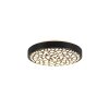Reality Chizu Plafondlamp LED Zwart, 1-licht, Afstandsbediening, Kleurwisselaar