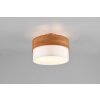 Trio Seasons Plafondlamp Natuurlijke kleuren, Nikkel mat, 2-lichts