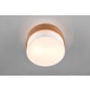 Trio Seasons Plafondlamp Natuurlijke kleuren, Nikkel mat, 2-lichts