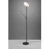 Trio Brantford Uplighter LED Zwart, 1-licht