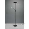 Trio Brantford Uplighter LED Zwart, 1-licht