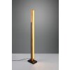 Trio Kerala Staande lamp LED Zwart, 1-licht