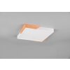 Reality Meta Plafondlamp LED Wit, 1-licht
