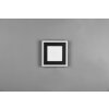 Reality Carus Plafondlamp LED Zwart, 1-licht