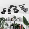 Isanay Plafondlamp Zwart, 4-lichts Isanay Plafondlamp Zwart, 4-lichts