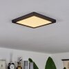 Canditas Plafondpaneel LED Zwart, 1-licht