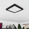 Canditas Plafondpaneel LED Zwart, 1-licht