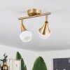 Venizy Plafondlamp Oud messing, 2-lichts