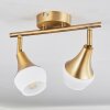 Venizy Plafondlamp Oud messing, 2-lichts