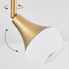 Venizy Plafondlamp Oud messing, 2-lichts