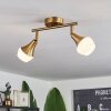 Venizy Plafondlamp Oud messing, 2-lichts