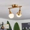Venizy Plafondlamp Oud messing, 2-lichts