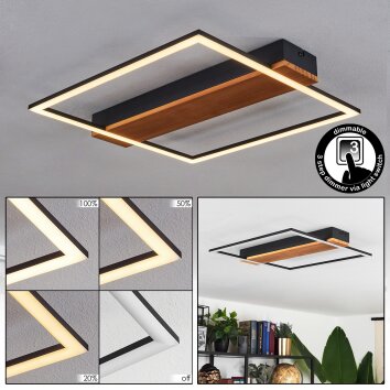 Courceaux Plafondlamp LED Natuurlijke kleuren, Zwart, 1-licht