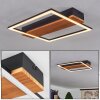 Courceaux Plafondlamp LED Natuurlijke kleuren, Zwart, 1-licht