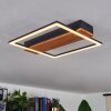 Courceaux Plafondlamp LED Natuurlijke kleuren, Zwart, 1-licht