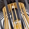 Oravi Plafondlamp Zwart-Goud, 1-licht