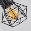 Bardhaman Hanglamp Natuurlijke kleuren, Zwart, 4-lichts