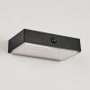 Seilhac Solarlamp LED Zwart, 1-licht, Bewegingsmelder