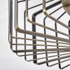 Oravi Plafondlamp Zwart-Goud, 1-licht