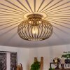 Oravi Plafondlamp Antiek, Goud, 1-licht