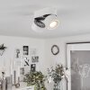 Laonsana Plafondlamp LED Zwart, Wit, 2-lichts