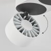 Laonsana Plafondlamp LED Zwart, Wit, 2-lichts