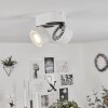 Laonsana Plafondlamp LED Zwart, Wit, 2-lichts