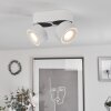 Laonsana Plafondlamp LED Zwart, Wit, 2-lichts