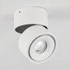 Laonsana Plafondlamp LED Zwart, Wit, 1-licht