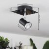 Lanrigan Plafondlamp LED Chroom, Zwart, 1-licht