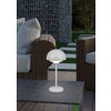 Reality Elliot Tafellamp voor buiten LED Grijs, 1-licht