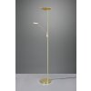 Trio Brantford Uplighter LED Messing, 1-licht