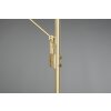 Trio Brantford Uplighter LED Messing, 1-licht