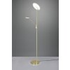 Trio Brantford Uplighter LED Messing, 1-licht