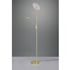Trio Brantford Uplighter LED Messing, 1-licht