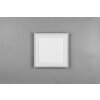 Reality Carus Plafondlamp LED Wit, 2-lichts