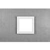 Reality Carus Plafondlamp LED Wit, 2-lichts