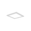 Reality Carus Plafondlamp LED Wit, 2-lichts